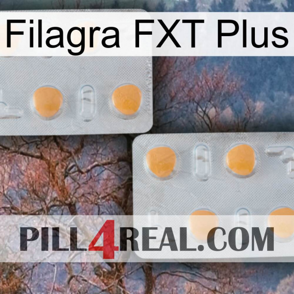 Filagra FXT Plus 25.jpg